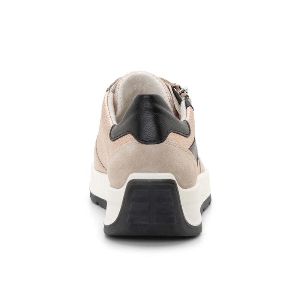 Ara Nagano Women's Lace Sneaker in Sand Black