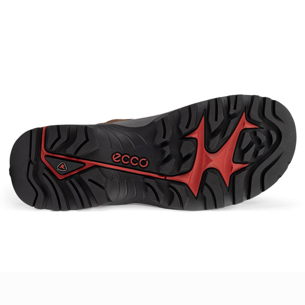 Ecco Men's Offroad Outdoor Shoe