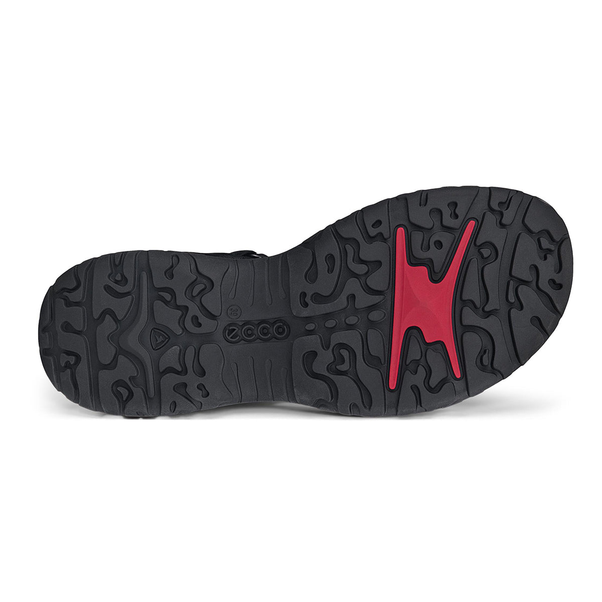 Offroad Roam Women's Sandal