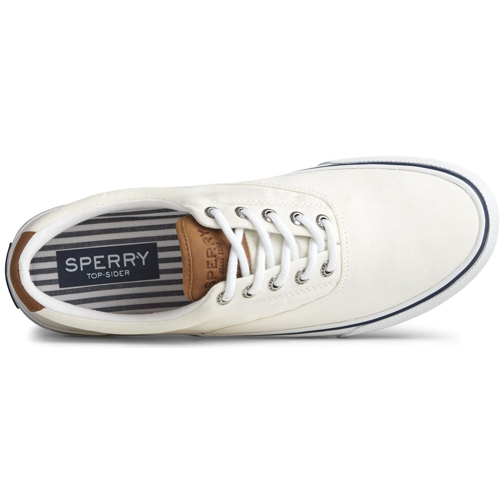 Sperry Striper II Men's Lace Up Sneaker - White